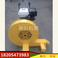 HQ-400路面吹風(fēng)機 手推式馬路吹干機