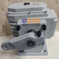 伯利恒精小型電動(dòng)執(zhí)行器BLH-05AS閥門電動(dòng)裝置